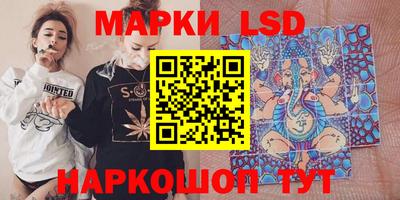 гашик Берёзовский