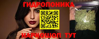 гашик Берёзовский