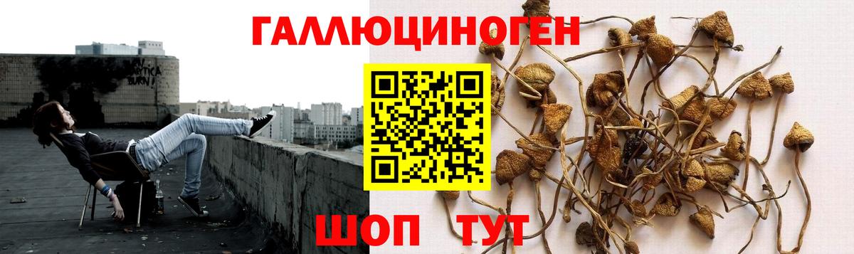 Галлюциногенные грибы прущие грибы  Вход с VPN  Каменск-Уральский 