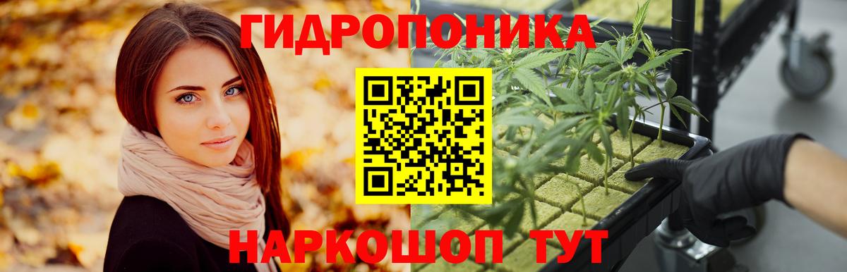 Каменск-Уральский  Каннабис MAZAR  Каннабис Ganja  Вход с VPN  Конопля сатива  Бошки марихуана план 